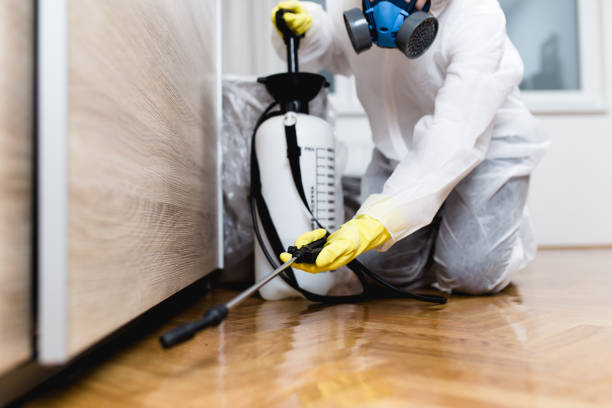 Pest Control for Restaurants in Silver Grove, KY
