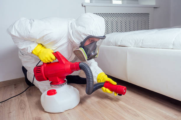 Trusted Silver Grove, KY Pest Control Experts