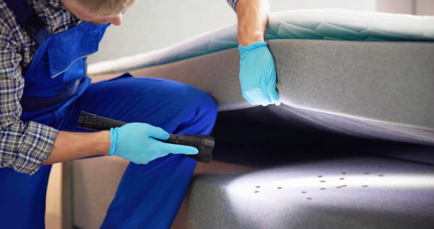 Best Bed Bug Extermination  in Silver Grove, KY