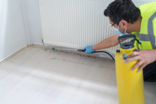 Best Exterminator Services  in Silver Grove, KY